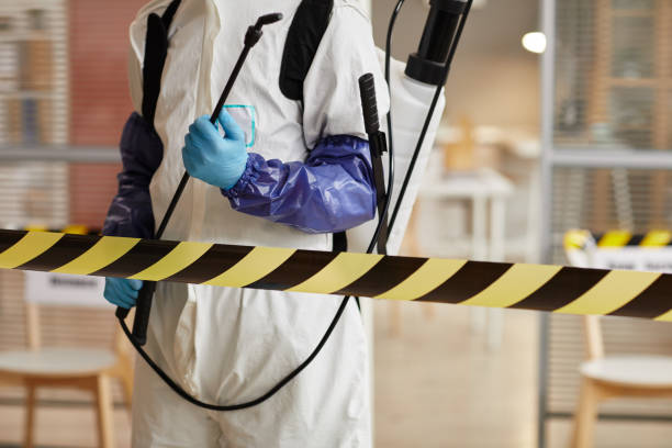 Professional Sewage Cleanup technician working in Holbrook, MA